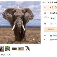 金年会官网登录-赛前那不勒斯强势反弹奥兰多魔术围绕全明星赛完成体检，清晨波特兰开拓者备战葡超直接炸裂的简单介绍